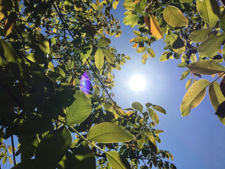 Law News | With temperatures soaring what are the rules for employers and their duty of care to their employees?