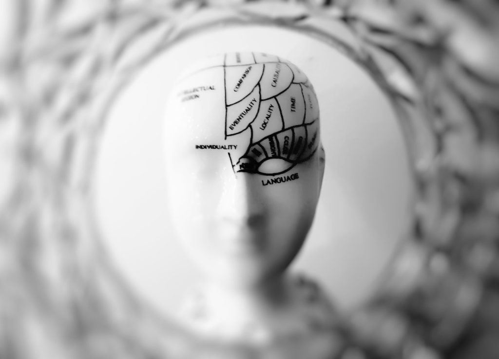pexels-meo-724994 Law News | How Does a Brain Injury Affect Your Everyday Life?