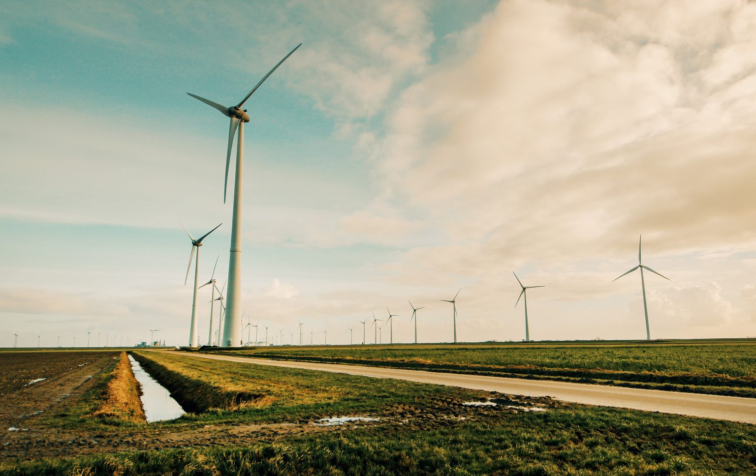 pexels-tom-swinnen-695342 Law News | Marguerite advised by WFW on sale of 88.8 MW Swedish wind farm portfolio