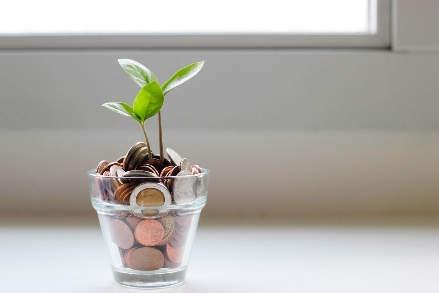 micheile-henderson-SoT4-mZhyhE-unsplash Law News | How to Build up Your Savings