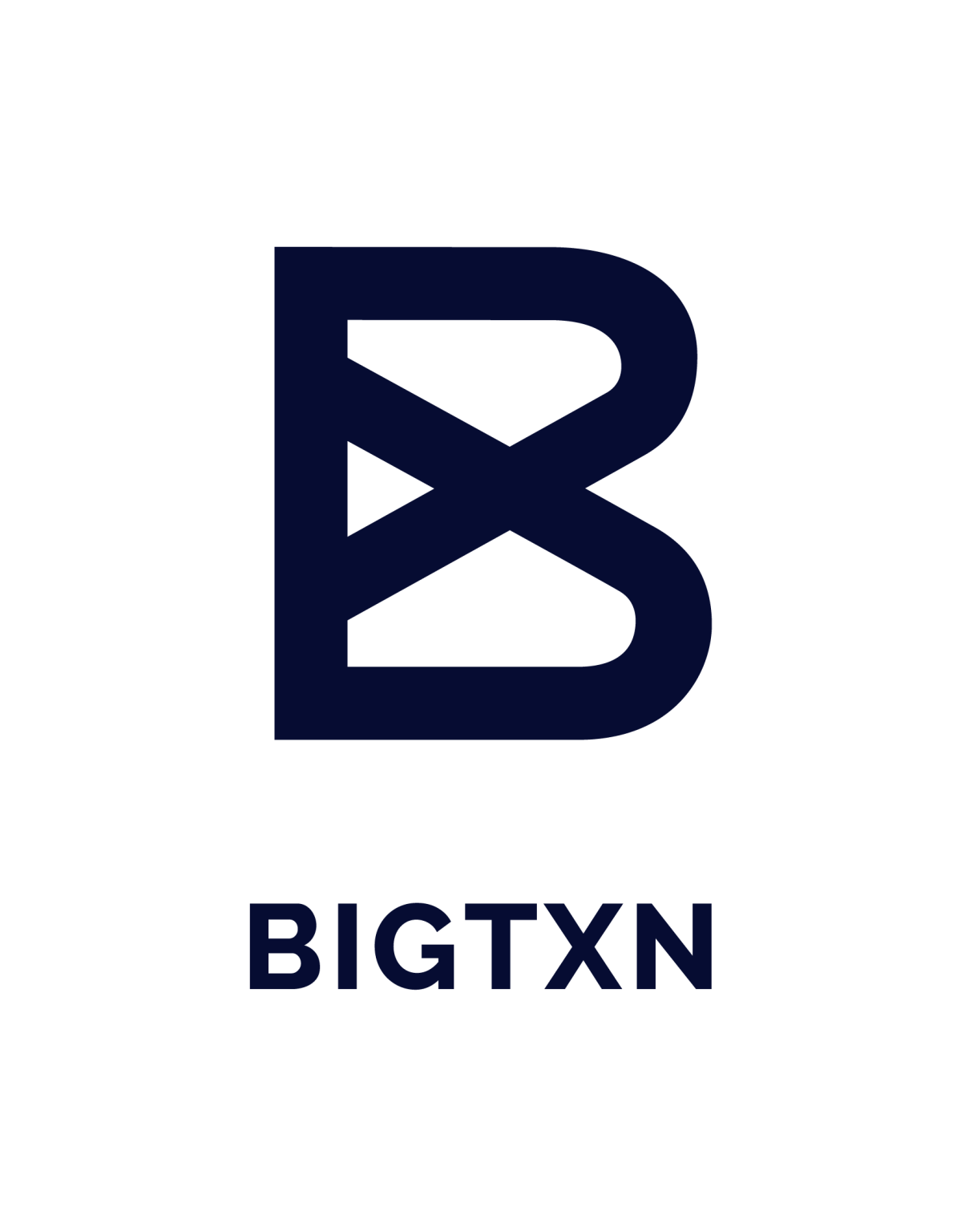 1d6d8d2c5d700b1c26c06419482ef66a Law News | BIGTXN Launches Innovative Handbook Unveiled to Navigate Sanctioned Securities