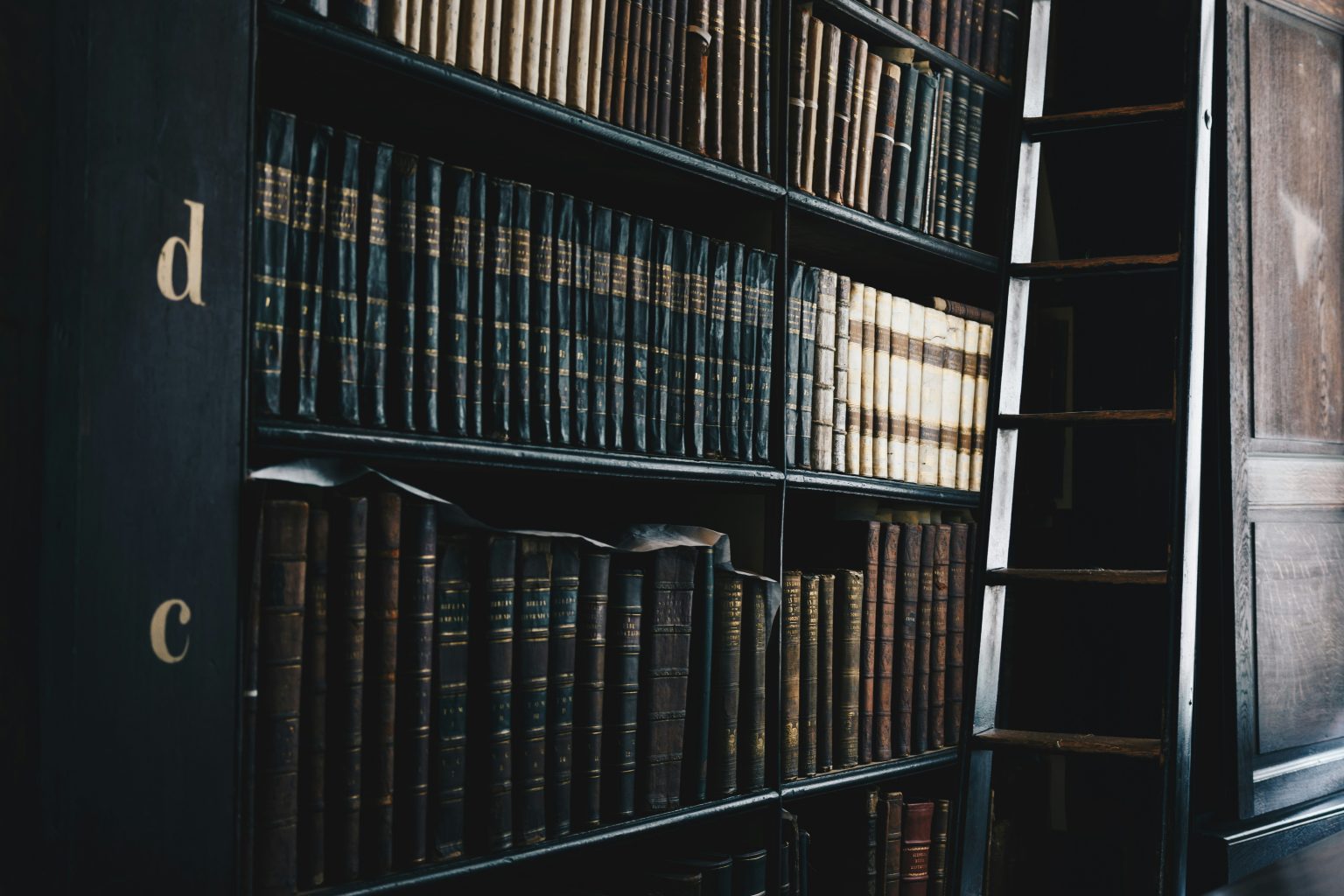 giammarco-boscaro-OPzWvgL-upY-unsplash Pierson Ferdinand