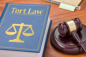 Tort Law: What It Covers and Why It Matters Tort Law: What It Covers and Why It Matters
