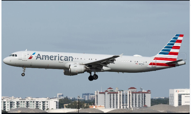 Walter Loughney’s American Airlines Lawsuit Walter Loughney's American Airlines Lawsuit