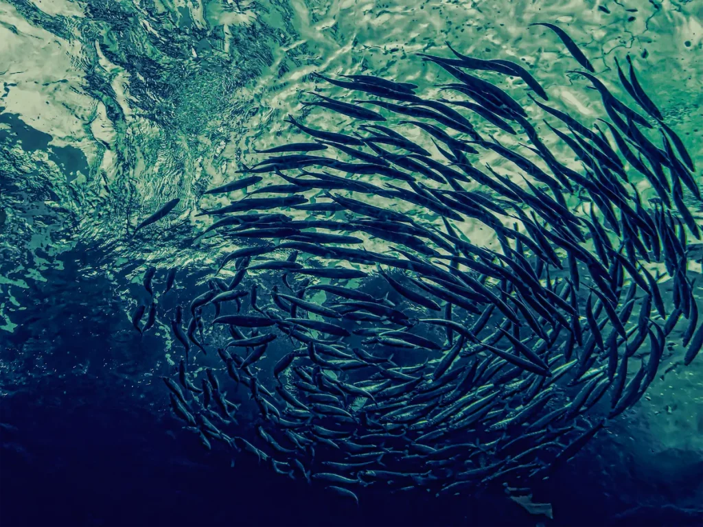 underwater data centres