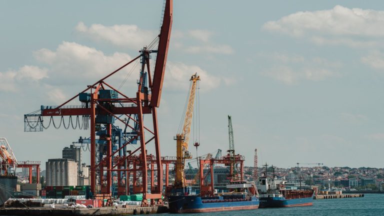 Cargo ships and cranes at a seaport under a clear sky