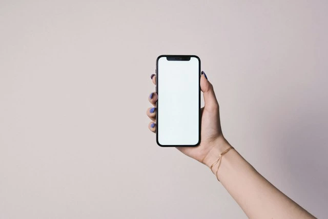 oleg-ivanov-tINA7aUB49g-unsplash Software Deprecates